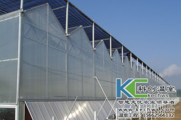 無土栽培，無土栽培技術(shù)，無土栽培設(shè)備