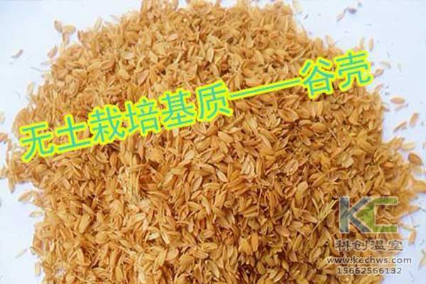無(wú)土栽培，無(wú)土栽培技術(shù)，無(wú)土栽培設(shè)備