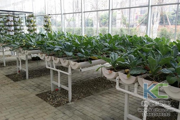 無(wú)土栽培，無(wú)土栽培技術(shù)，無(wú)土栽培設(shè)備