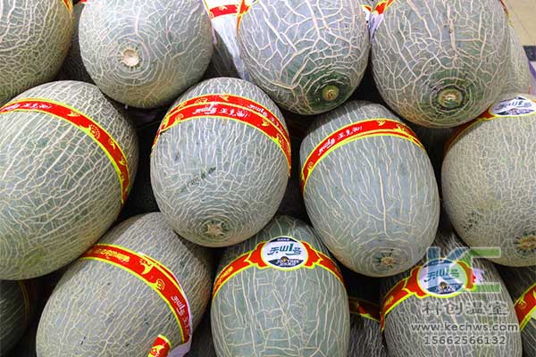 無(wú)土栽培，無(wú)土栽培技術(shù)，無(wú)土栽培設(shè)備