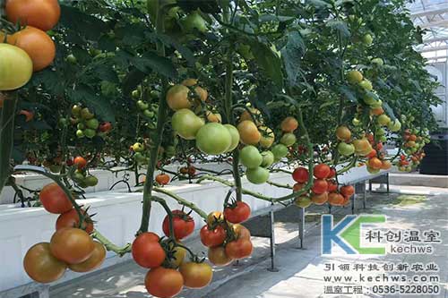 箱式無(wú)土栽培，無(wú)土栽培