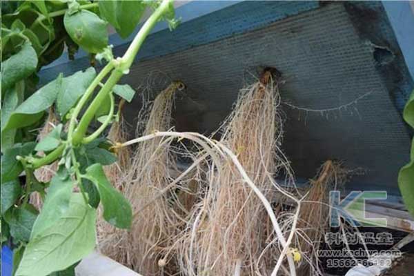無(wú)土栽培，無(wú)土栽培技術(shù)，無(wú)土栽培設(shè)備