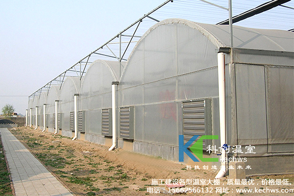 無土栽培，無土栽培技術(shù)，無土栽培設(shè)備