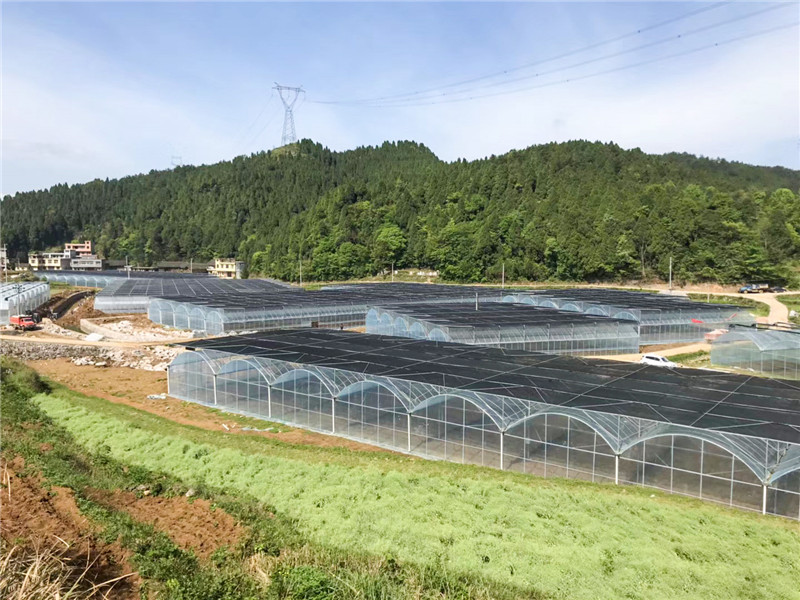 無土栽培，無土栽培技術(shù)，無土栽培設(shè)備