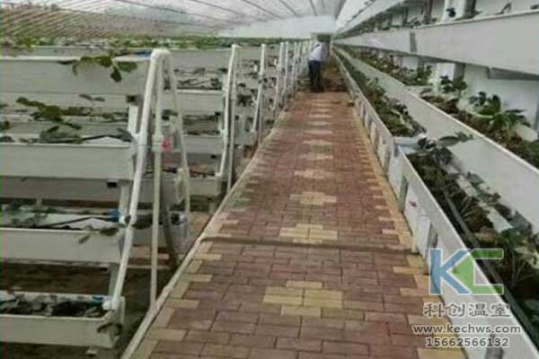 無土栽培，無土栽培技術，無土栽培設備