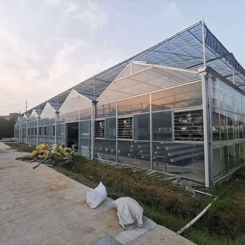 無土栽培，無土栽培技術，無土栽培設備