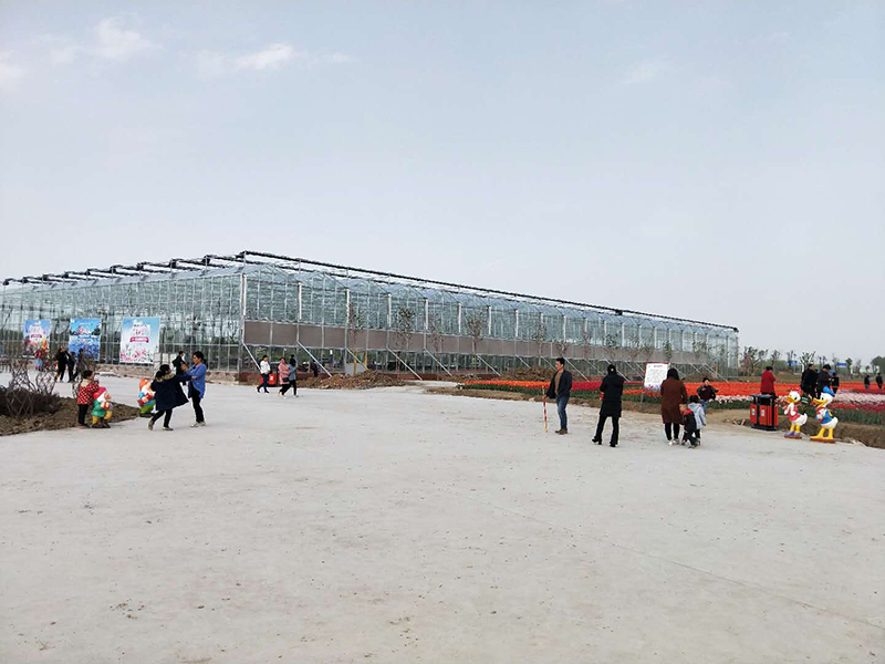 無土栽培，無土栽培技術(shù)，無土栽培設(shè)備