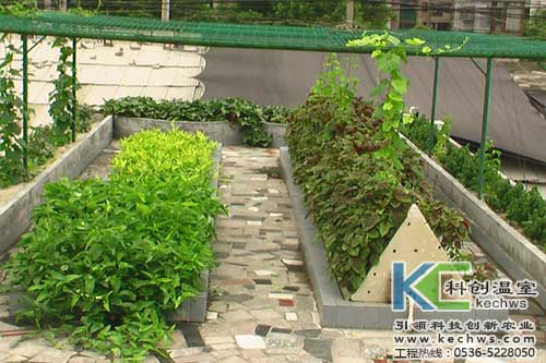 無(wú)土栽培，無(wú)土栽培技術(shù)，無(wú)土栽培設(shè)備