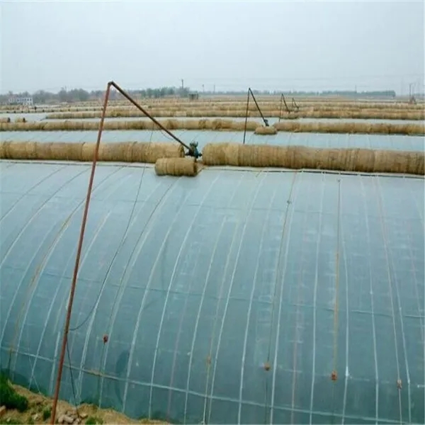 無土栽培，無土栽培技術，無土栽培設備