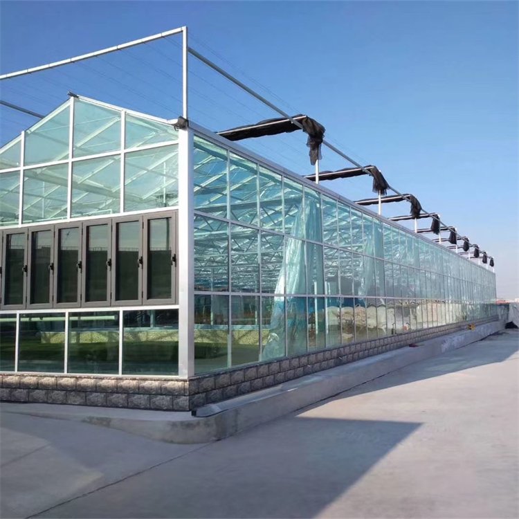 無土栽培，無土栽培技術(shù)，無土栽培設(shè)備