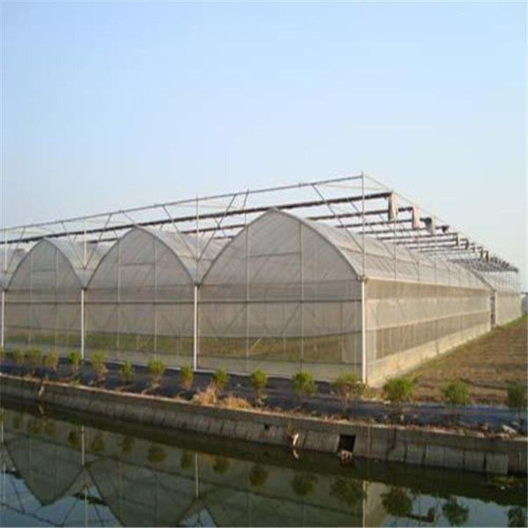 無土栽培，無土栽培技術(shù)，無土栽培設(shè)備
