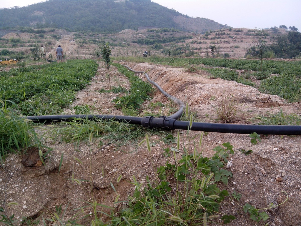 無土栽培，無土栽培技術，無土栽培設備